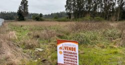 SE VENDE PARCELA CAMINO BOTROLHUE