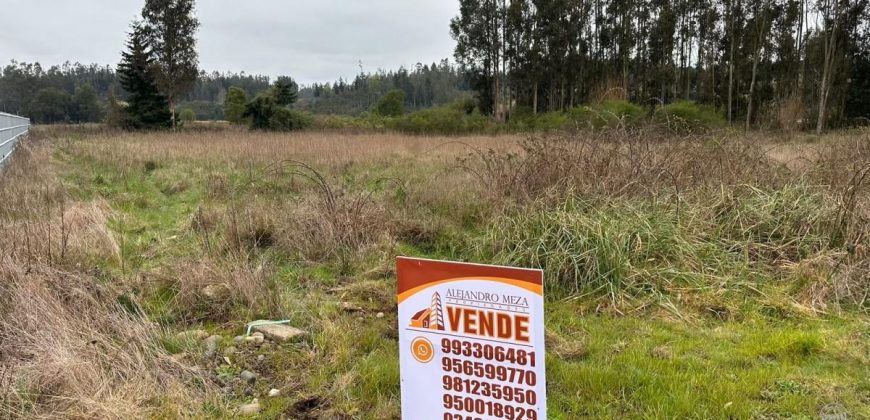 SE VENDE PARCELA CAMINO BOTROLHUE