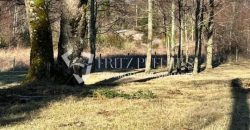 Venta Gran Oportunidad; Parcela 1 Ha Contado