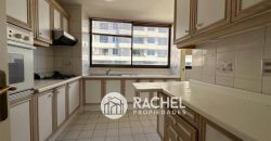 GRAN DEPARTAMENTO EN ARRIENDO SECTIR AVDA ALEMANIA