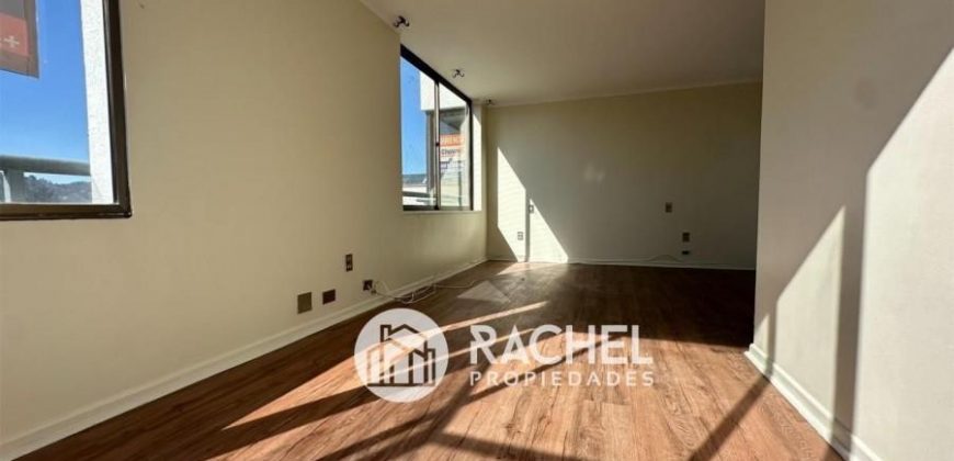 GRAN DEPARTAMENTO EN ARRIENDO SECTIR AVDA ALEMANIA