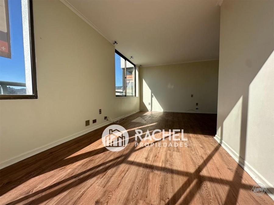 GRAN DEPARTAMENTO EN ARRIENDO SECTIR AVDA ALEMANIA