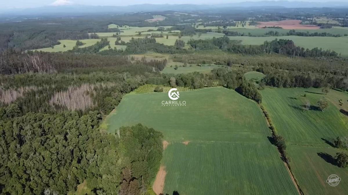 VENDEMOS HERMOSO CAMPO CHILENO SECTOR NIAGARA