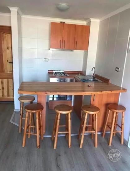 Departamento en Pucón | EXCELENTE DEPTO MARIPOSA – AÑO CORRIDO – SE ACEPTA SUBSIDIO