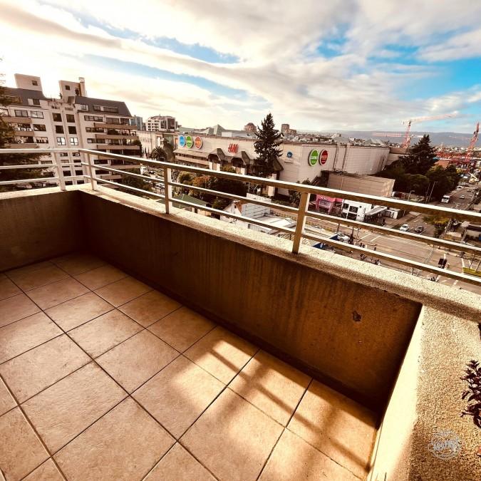 Arriendo depto. Amoblado av Alemania con estacionamiento y bodega