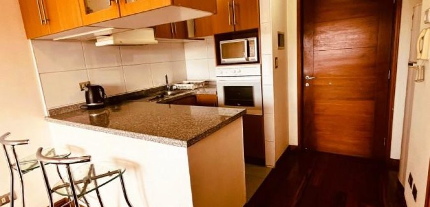 Arriendo depto. Amoblado av Alemania con estacionamiento y bodega