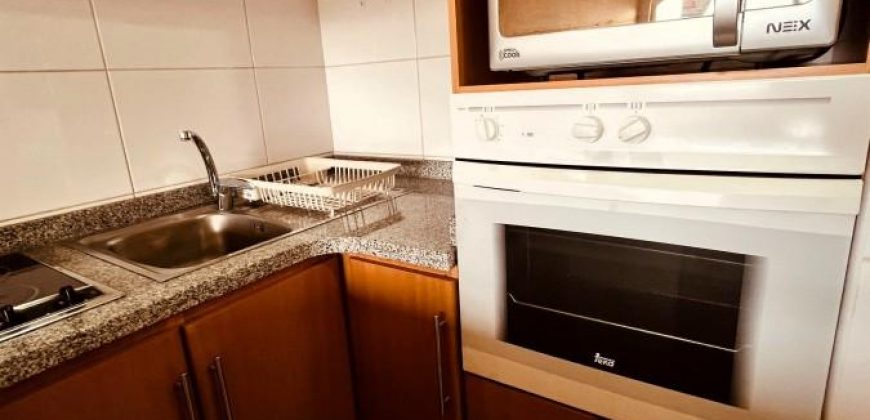 Arriendo depto. Amoblado av Alemania con estacionamiento y bodega
