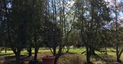 Arriendo Casa en Parcela
