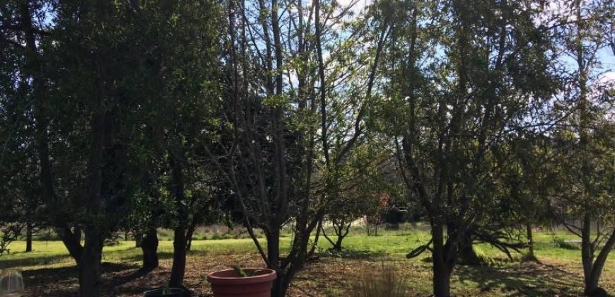 Arriendo Casa en Parcela
