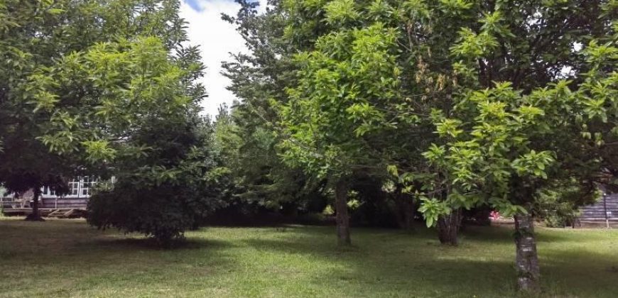 Arriendo Casa en Parcela