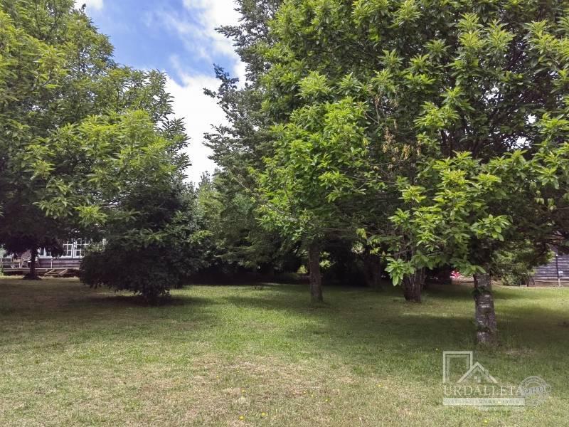 Arriendo Casa en Parcela
