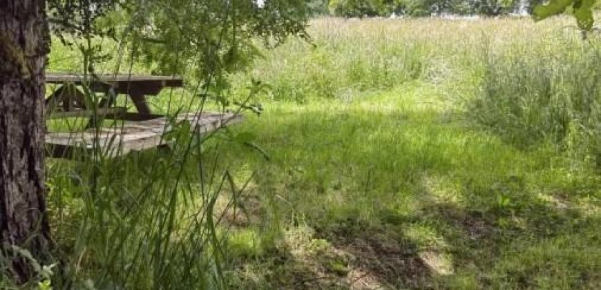 Arriendo Casa en Parcela