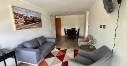 Arrendamos Excelente Departamento En Av. Alemania Temuco