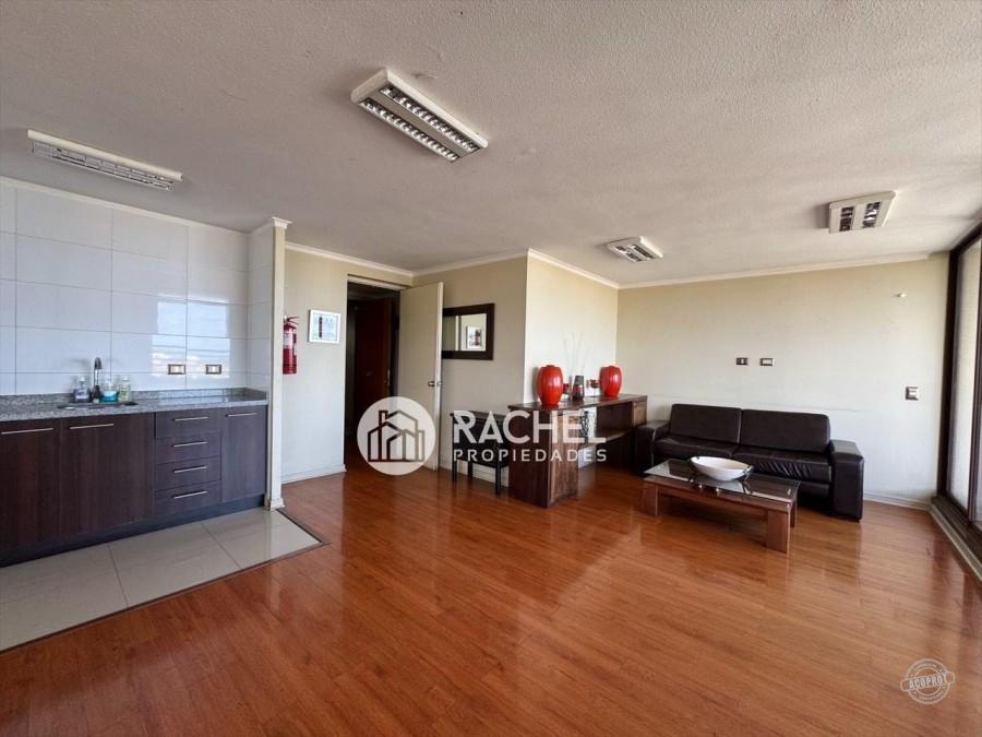 LINDO DEPARTAMENTO AMOBLADO EN ARRIENDO SECTOR AVDA. ALEMANIA EDIFICIO LYON