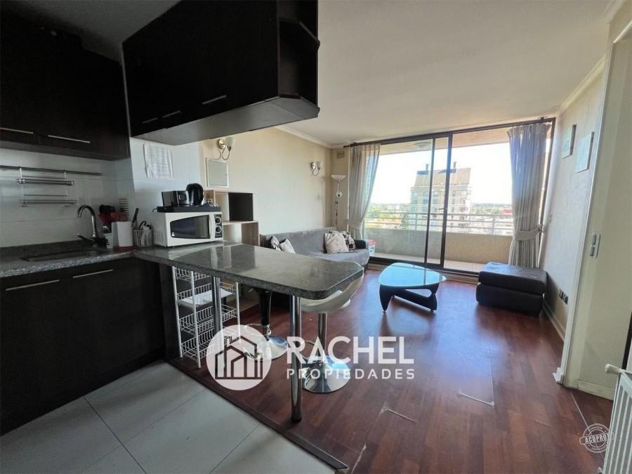 LINDO DEPARTAMENTO AMOBLADO EN ARRIENDO SECTOR AVDA. ALEMANIA EDIFICIO LYON