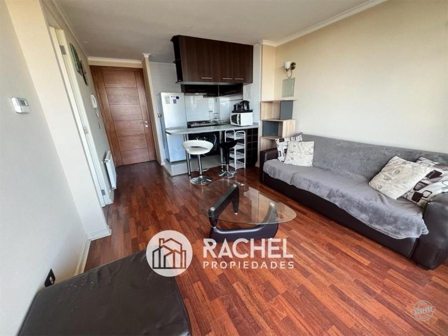 LINDO DEPARTAMENTO AMOBLADO EN ARRIENDO SECTOR AVDA. ALEMANIA EDIFICIO LYON