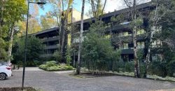 PROPIEDAD ÚNICA — BELLO DEPARTAMENTO AMOBLADO DE EXCELENTE NIVEL, PUCÓN