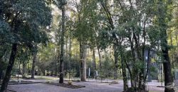 PROPIEDAD ÚNICA — BELLO DEPARTAMENTO AMOBLADO DE EXCELENTE NIVEL, PUCÓN