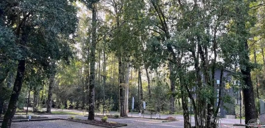 PROPIEDAD ÚNICA — BELLO DEPARTAMENTO AMOBLADO DE EXCELENTE NIVEL, PUCÓN