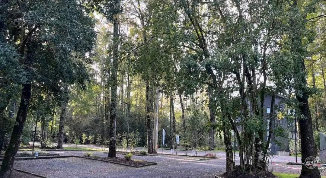 PROPIEDAD ÚNICA — BELLO DEPARTAMENTO AMOBLADO DE EXCELENTE NIVEL, PUCÓN