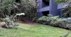 PROPIEDAD ÚNICA — BELLO DEPARTAMENTO AMOBLADO DE EXCELENTE NIVEL, PUCÓN