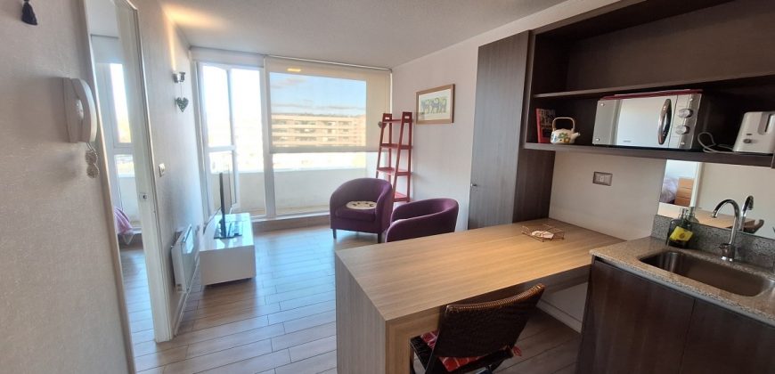 Arriendo departamento 1 Dormitorio 1 Baño Edificio Q