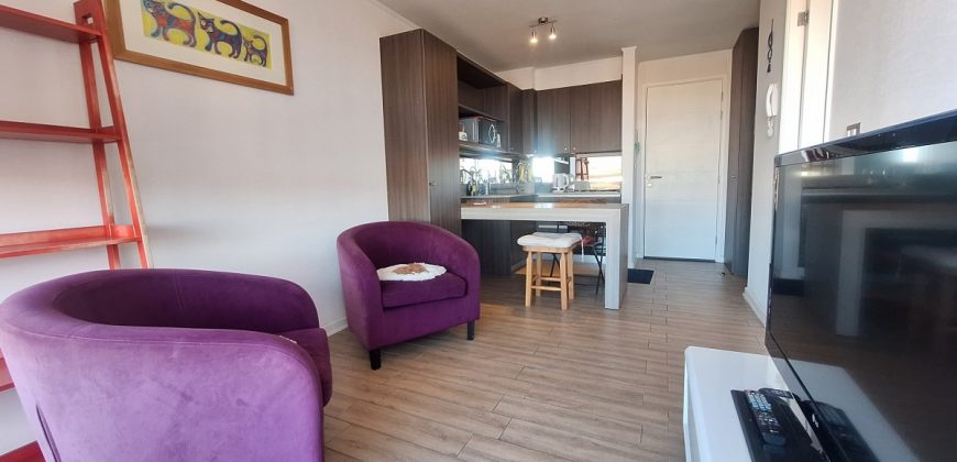 Arriendo departamento 1 Dormitorio 1 Baño Edificio Q