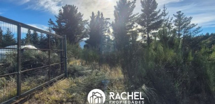 EN VENTA 2 TERRENOS DE 1,53 HECTAREAS CAMINO PUCON-CABURGUA con Orilla de Río sector Cerduo – Pucón