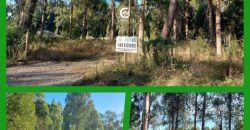 VENDEMOS PARCELA SECTOR COIPUE
