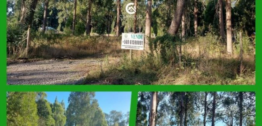 VENDEMOS PARCELA SECTOR COIPUE