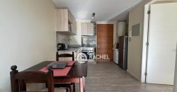 SE VENDE HERMOSO DEPTO FULL AMOBLADO 1D-1B, edificio Maringá