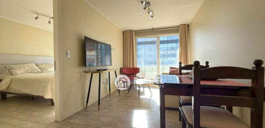 SE VENDE HERMOSO DEPTO FULL AMOBLADO 1D-1B, edificio Maringá