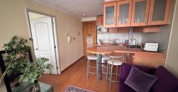 ARRENDAMOS DEPARTAMENTO 1 DORMITORIO AMOBLADO Y CON G COMUNES INCLUIDOS EN AV. ALEMANIA TEMUCO
