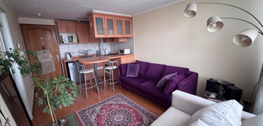 ARRENDAMOS DEPARTAMENTO 1 DORMITORIO AMOBLADO Y CON G COMUNES INCLUIDOS EN AV. ALEMANIA TEMUCO