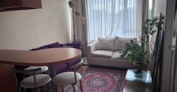 ARRENDAMOS DEPARTAMENTO 1 DORMITORIO AMOBLADO Y CON G COMUNES INCLUIDOS EN AV. ALEMANIA TEMUCO