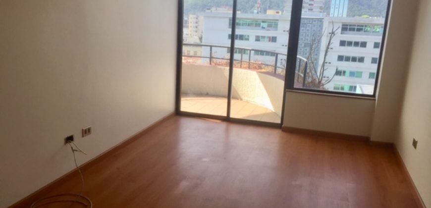AMPLIO Y LUMINOSO DEPARTAMENTO (1 DORMITORIO)PLENO CENTRO