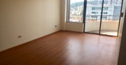 AMPLIO Y LUMINOSO DEPARTAMENTO (1 DORMITORIO)PLENO CENTRO