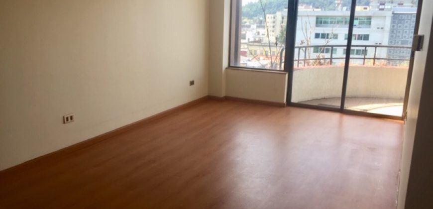 AMPLIO Y LUMINOSO DEPARTAMENTO (1 DORMITORIO)PLENO CENTRO