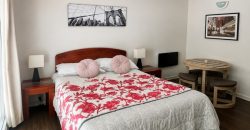SE ARRIENDA DEPARTAMENTO ESTUDIO AMOBLADO EDIFICIO ARRAYAN
