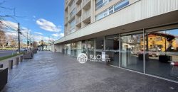SE ARRIENDA SOLEADO DEPARTAMENTO 1d-1b Edificio Espacio Zurich – Temuco