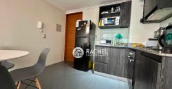 SE ARRIENDA AMPLIO DEPARTAMENTO DE 1 DORMITORIO CON ESTACIONAMIENTO