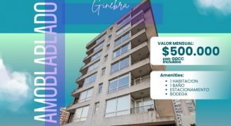 ARRENDAMOS DEPARTAMENTO COMPLETAMENTE AMOBLADO DE 1 DORMITORIO CON ESTACIONAMIENTO Y BODEGA EN LA CIUDAD DE TEMUCO