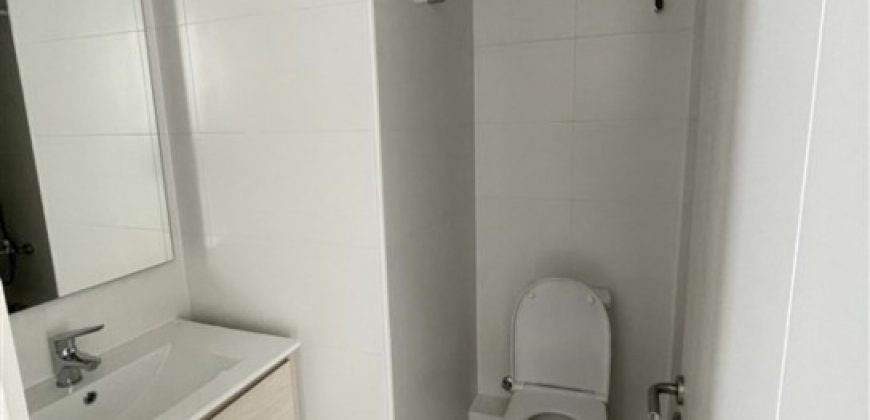DPTO NUEVO HOLANDESA