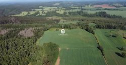 Vendemos Excelente Campo Sector Niagara