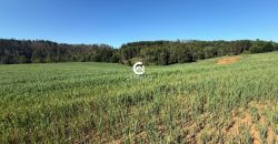 Vendemos Excelente Campo Sector Niagara