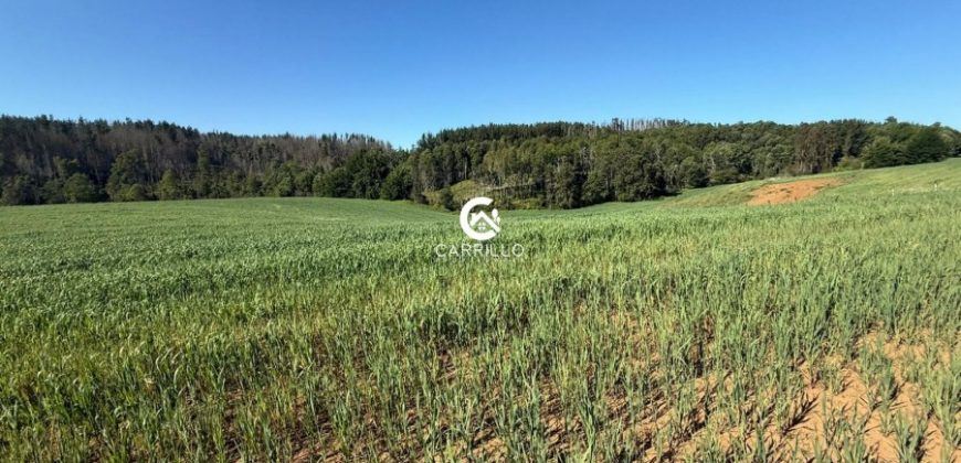 Vendemos Excelente Campo Sector Niagara