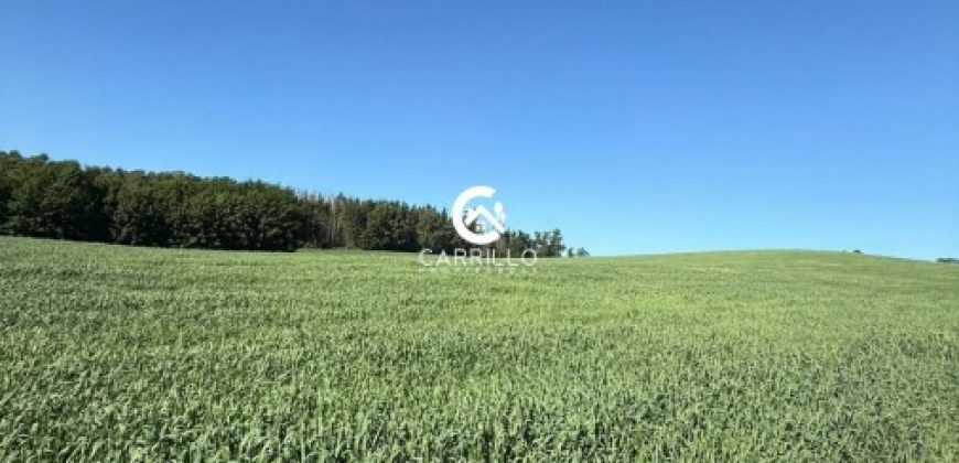 Vendemos Excelente Campo Sector Niagara