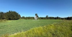 Vendemos Excelente Campo Sector Niagara