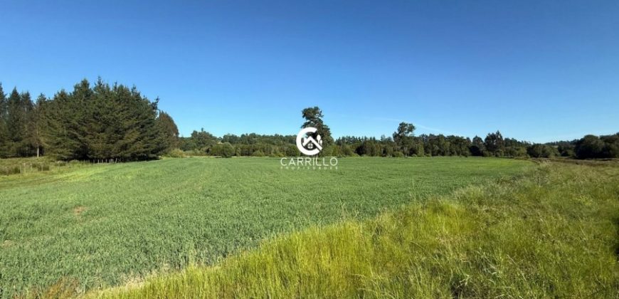 Vendemos Excelente Campo Sector Niagara