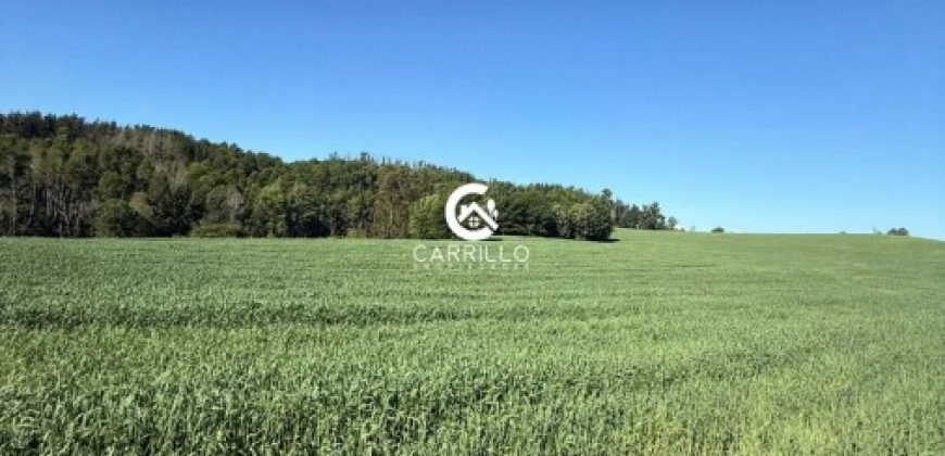 Vendemos Excelente Campo Sector Niagara